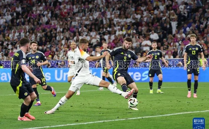 熊猫app下载文心一言