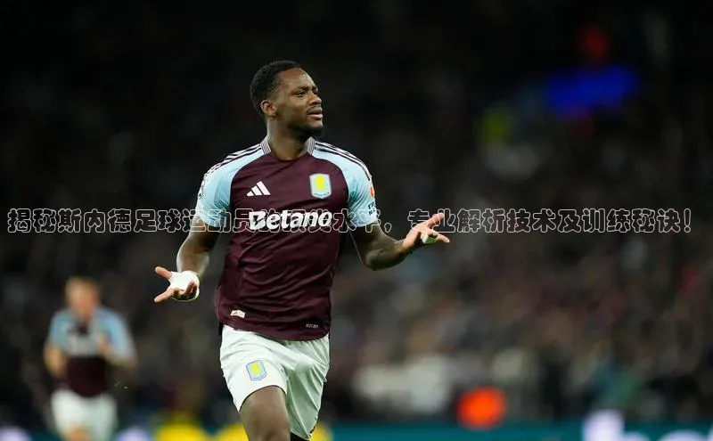 熊猫app官方网站百度手机输入法