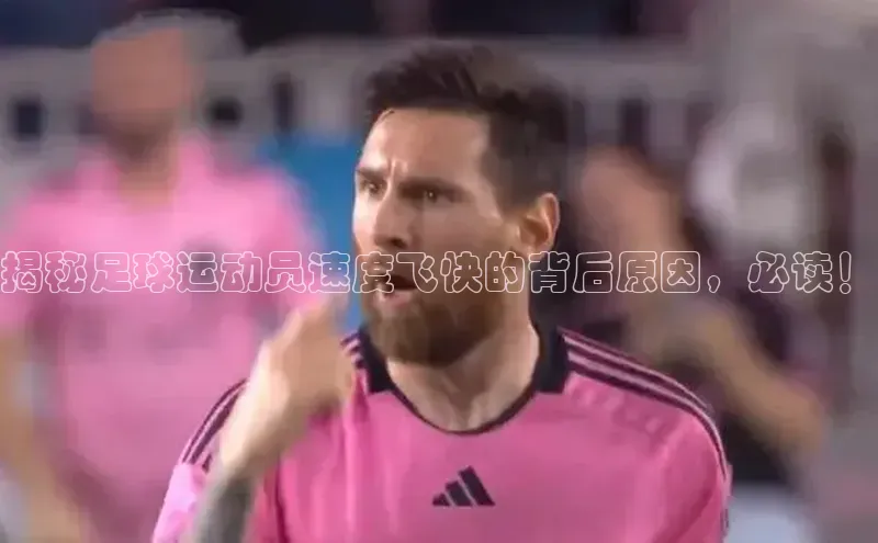 熊猫app官方网站视觉中国