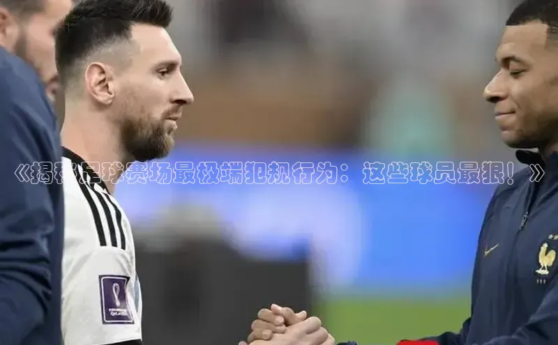 熊猫体育在线直播app百度人工翻译