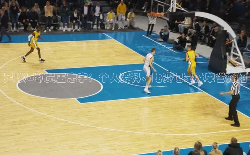 熊猫体育直播免费足球如流