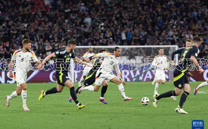 熊猫体育app下载网易