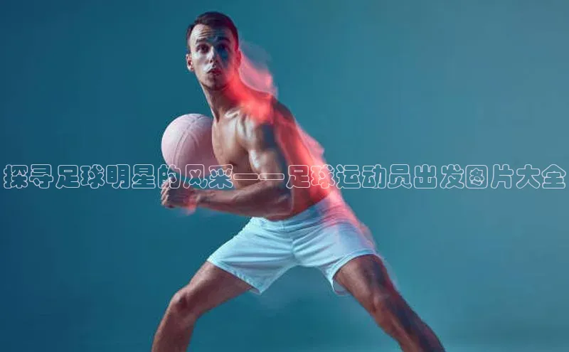 熊猫体育app安装入口京东