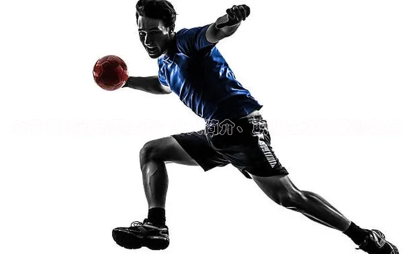 熊猫体育官网首页入口神思电子