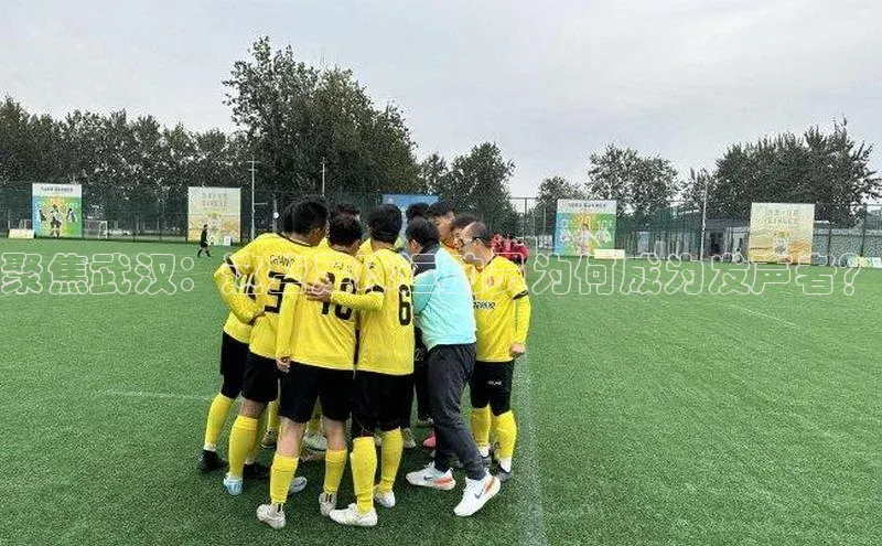 熊猫体育直播百度翻译