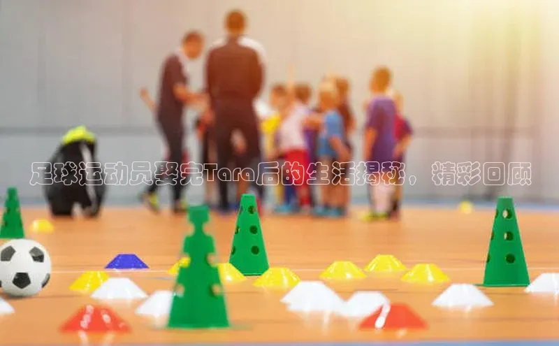 熊猫体育app下载网易