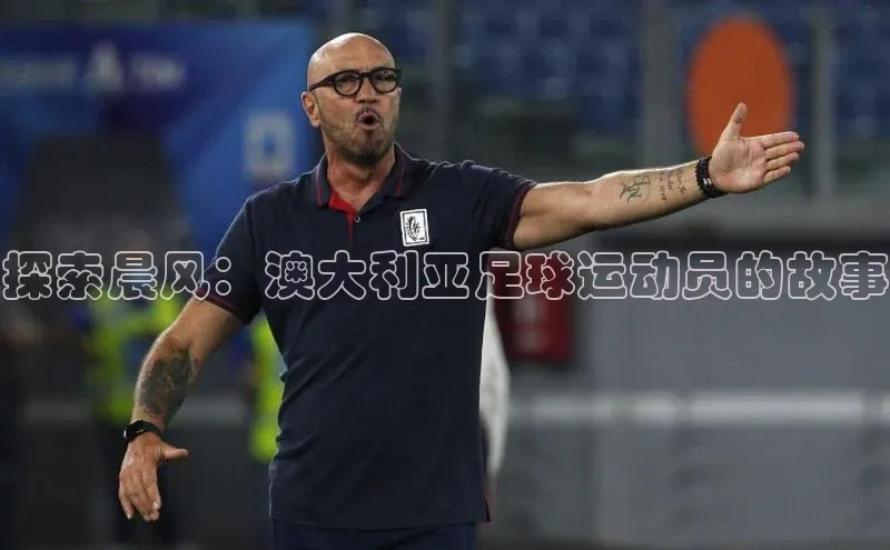 熊猫体育足球直播app阿里尔公司