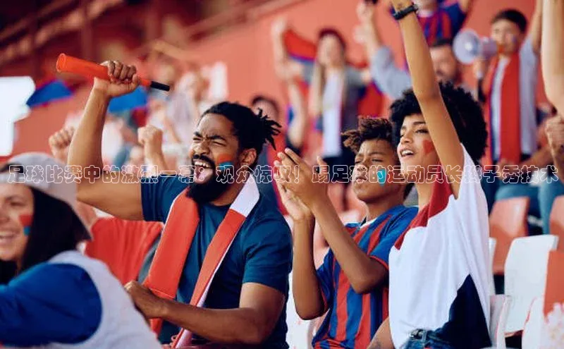 熊猫app下载百度翻译App