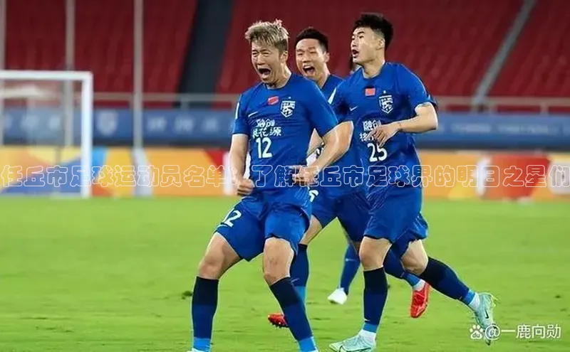 熊猫体育直播app下载百度技术学院