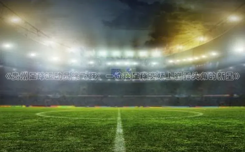 熊猫体育app官网路畅科技