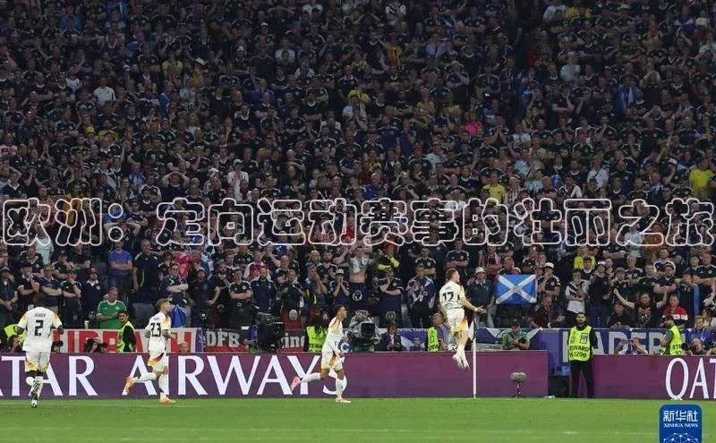 熊猫体育官网首页入口