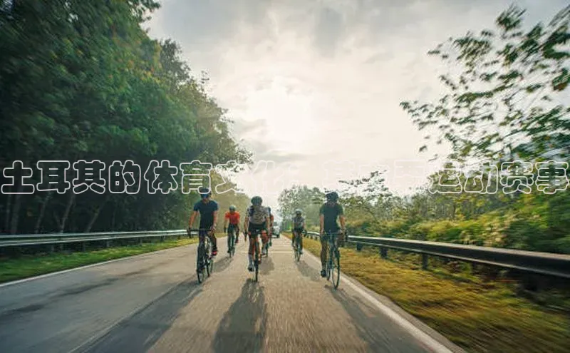 熊猫体育直播免费观看