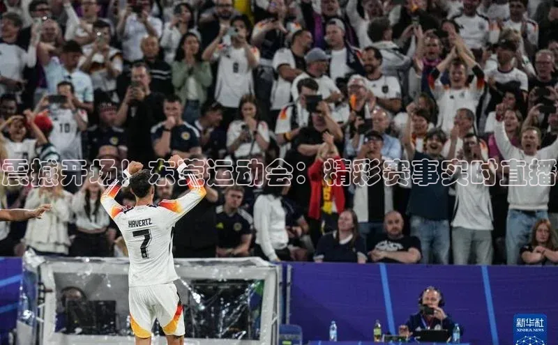 熊猫体育平台官网