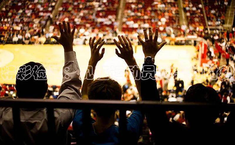 熊猫体育官网首页入口