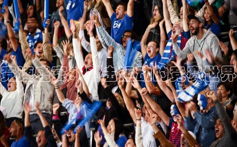 熊猫体育平台官网